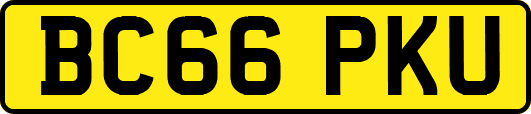 BC66PKU