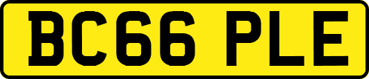 BC66PLE