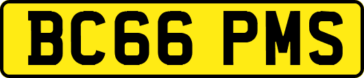 BC66PMS