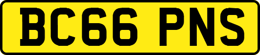 BC66PNS