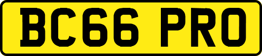 BC66PRO