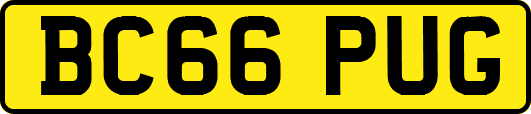 BC66PUG