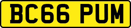 BC66PUM