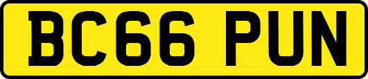 BC66PUN