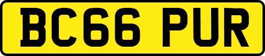BC66PUR