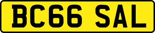 BC66SAL