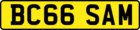 BC66SAM
