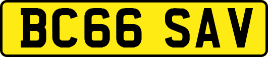 BC66SAV