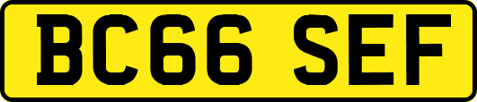 BC66SEF