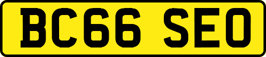 BC66SEO
