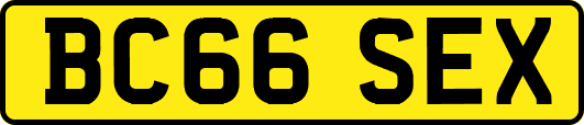 BC66SEX