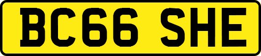 BC66SHE