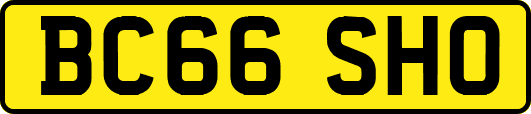 BC66SHO
