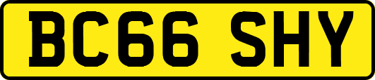 BC66SHY