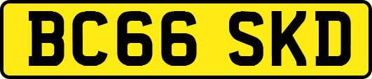 BC66SKD