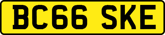 BC66SKE