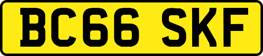 BC66SKF