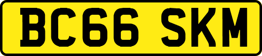 BC66SKM