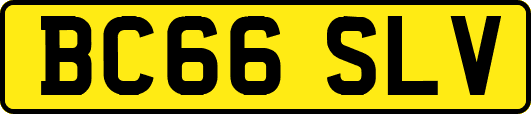 BC66SLV