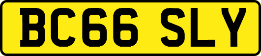 BC66SLY