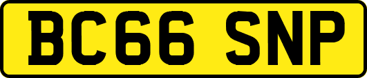 BC66SNP
