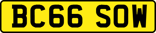 BC66SOW