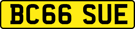BC66SUE