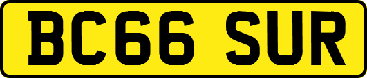 BC66SUR