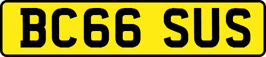 BC66SUS