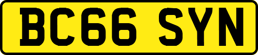 BC66SYN