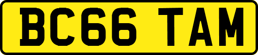 BC66TAM