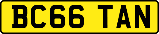 BC66TAN