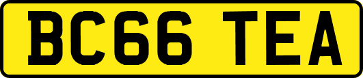 BC66TEA