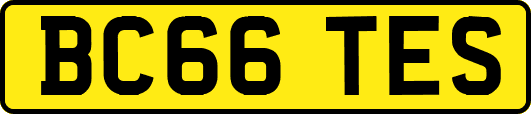 BC66TES