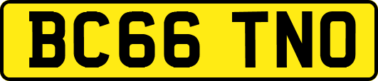 BC66TNO