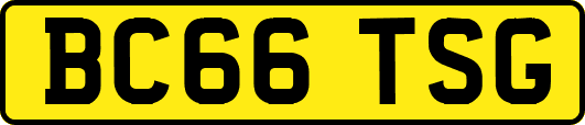 BC66TSG