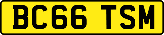 BC66TSM