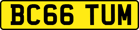 BC66TUM
