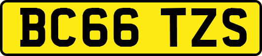 BC66TZS