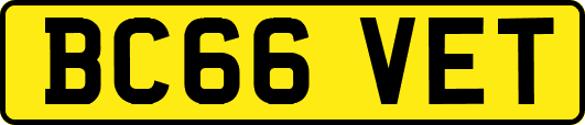 BC66VET