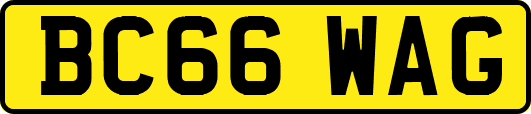 BC66WAG