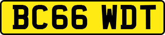 BC66WDT