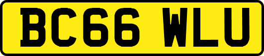 BC66WLU