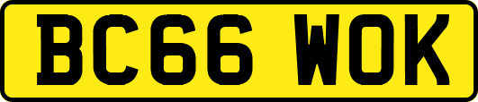 BC66WOK