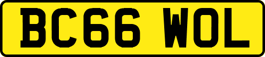 BC66WOL
