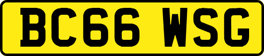 BC66WSG