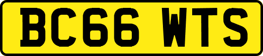 BC66WTS