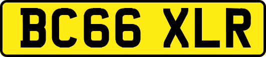 BC66XLR