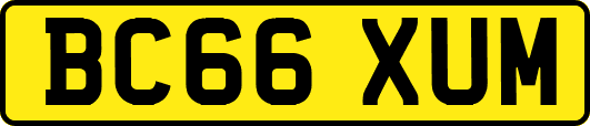 BC66XUM