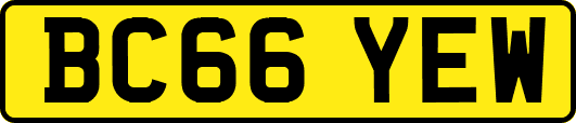 BC66YEW